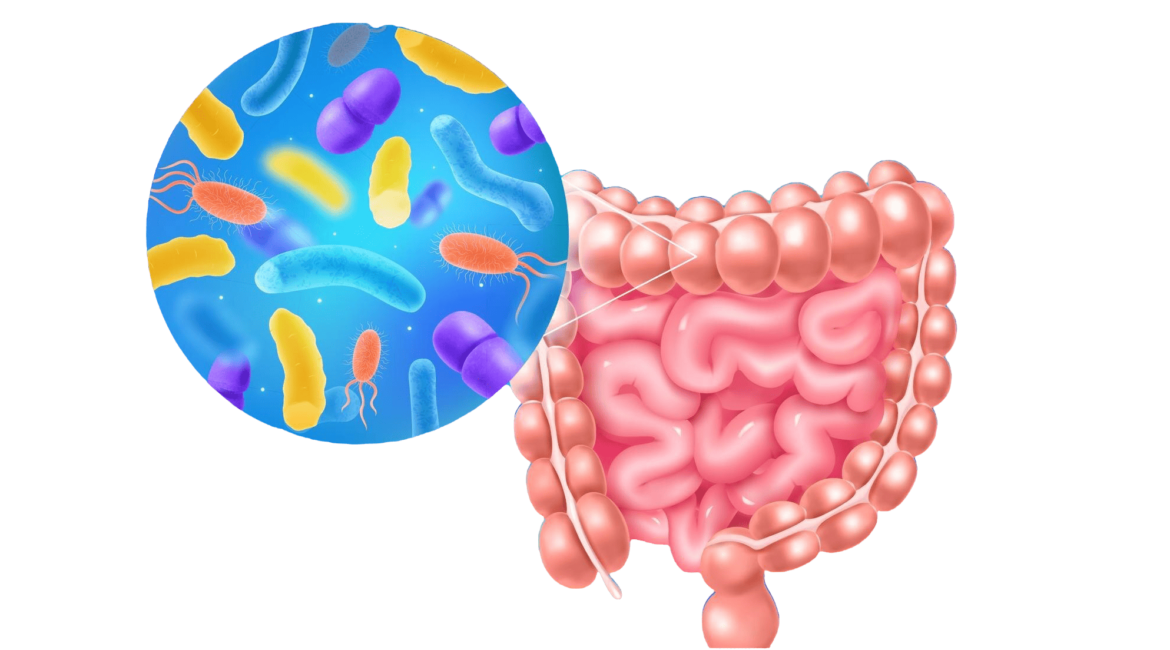 Helicobacter pylori